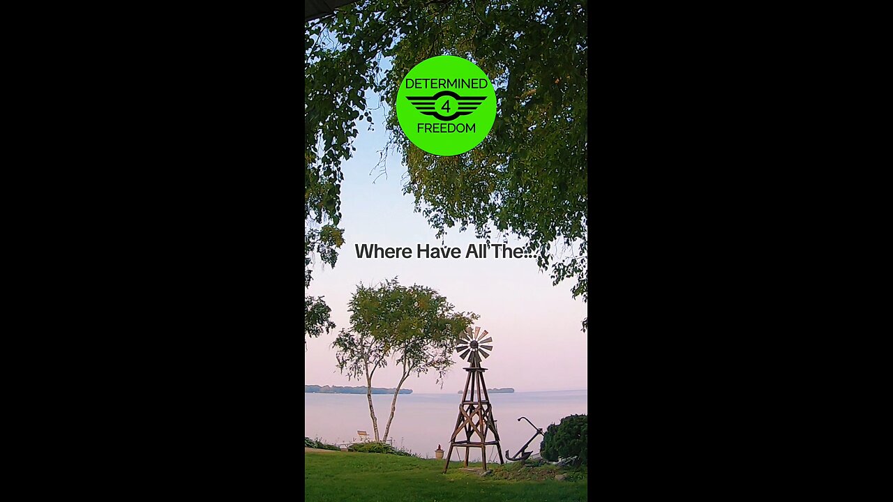 Where Have All The...