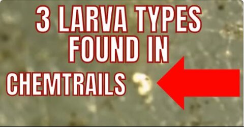 3 LARVA TYPES FOUND IN CHEMTRA!LS.