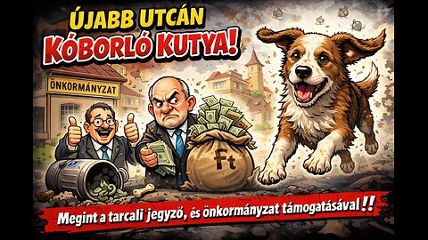 A kóborkutyák még mindig! Mert a tarcali önkormányzat kutyákkal tépetné szét az embereket!!