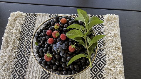 Plate with berries