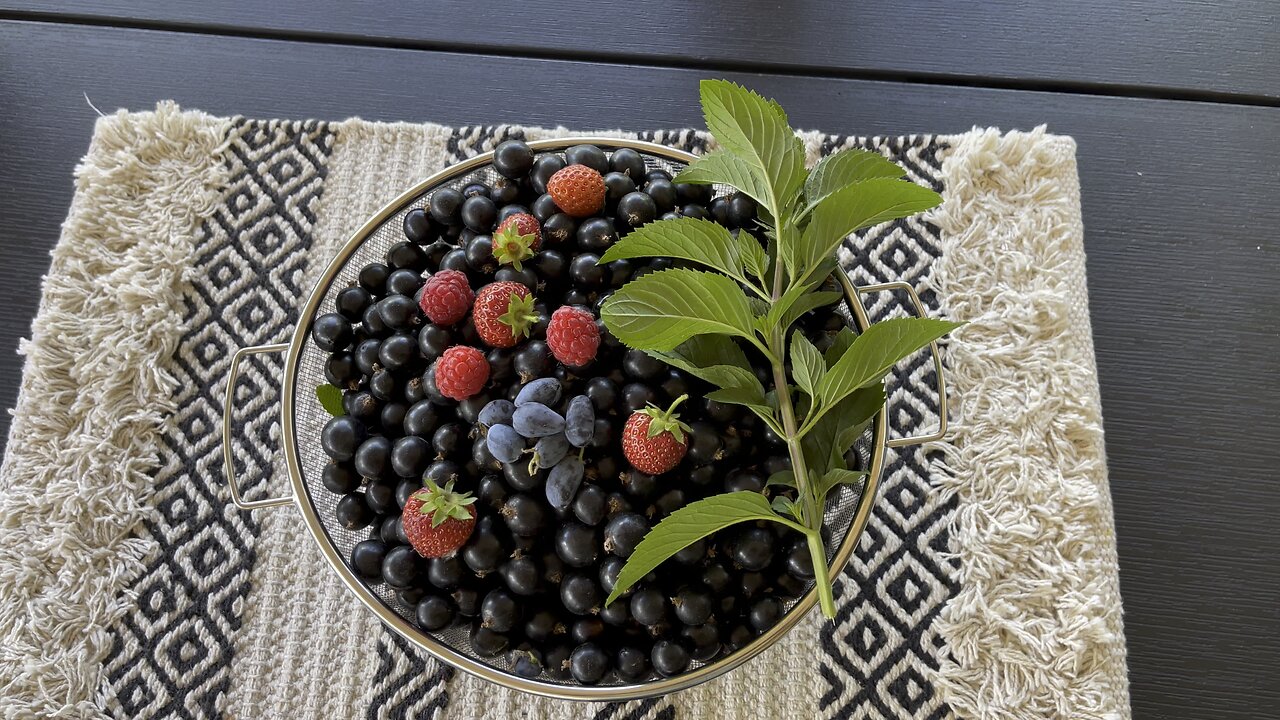Plate with berries