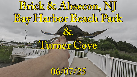 Brick & Absecon, NJ - Crabbing 06/07/25