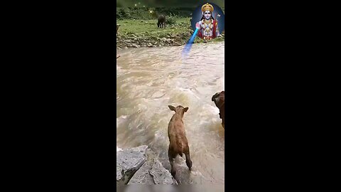 satisfying Video