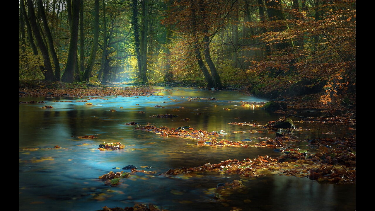 Zen Out with Relaxing Nature Sounds and Scenic Visuals