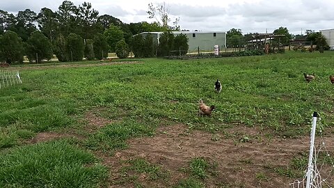 Our Spring & Summer Pasture is Open