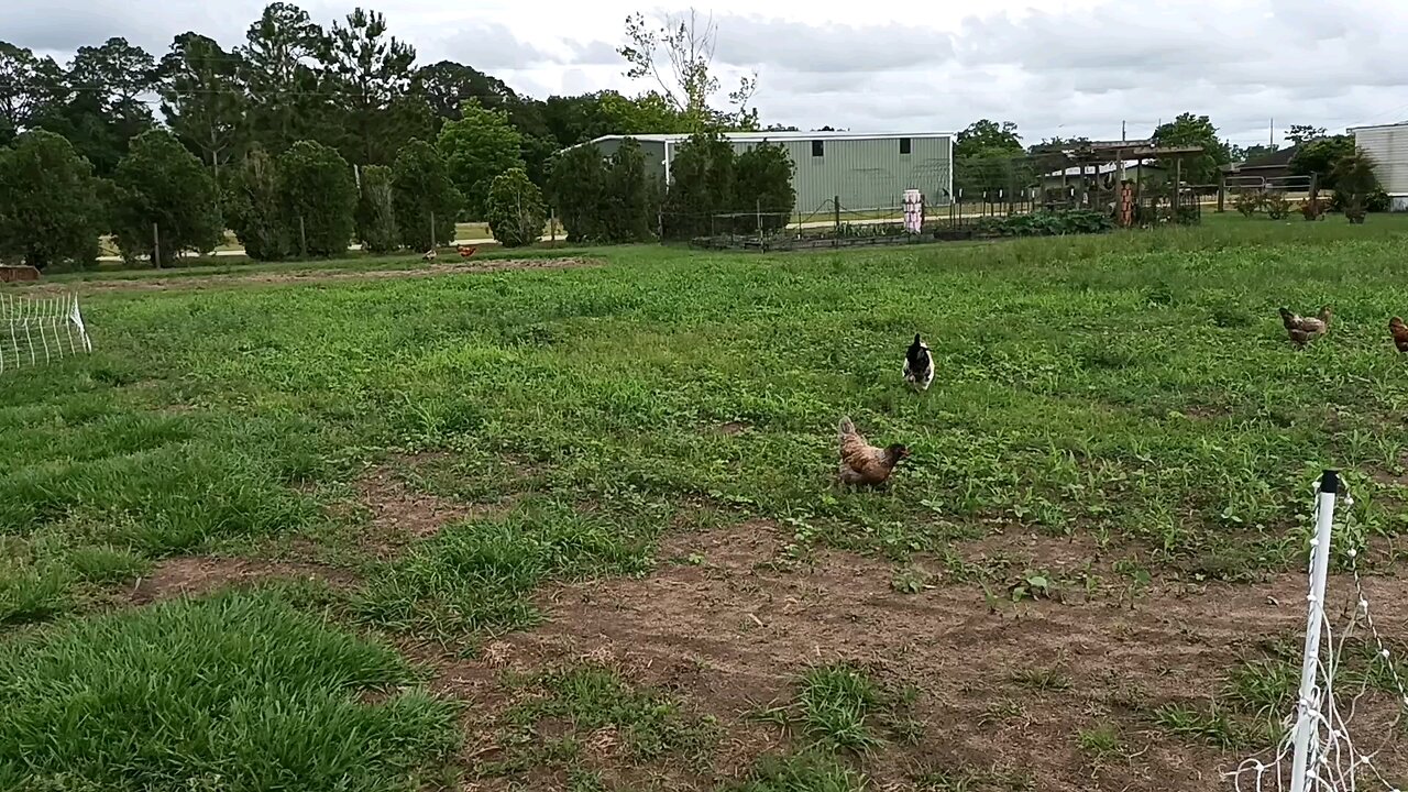 Our Spring & Summer Pasture is Open