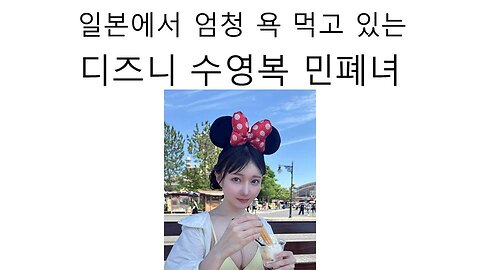 일본에서 엄청 욕을 먹고 있는 디즈니 수영복 민폐녀 논란