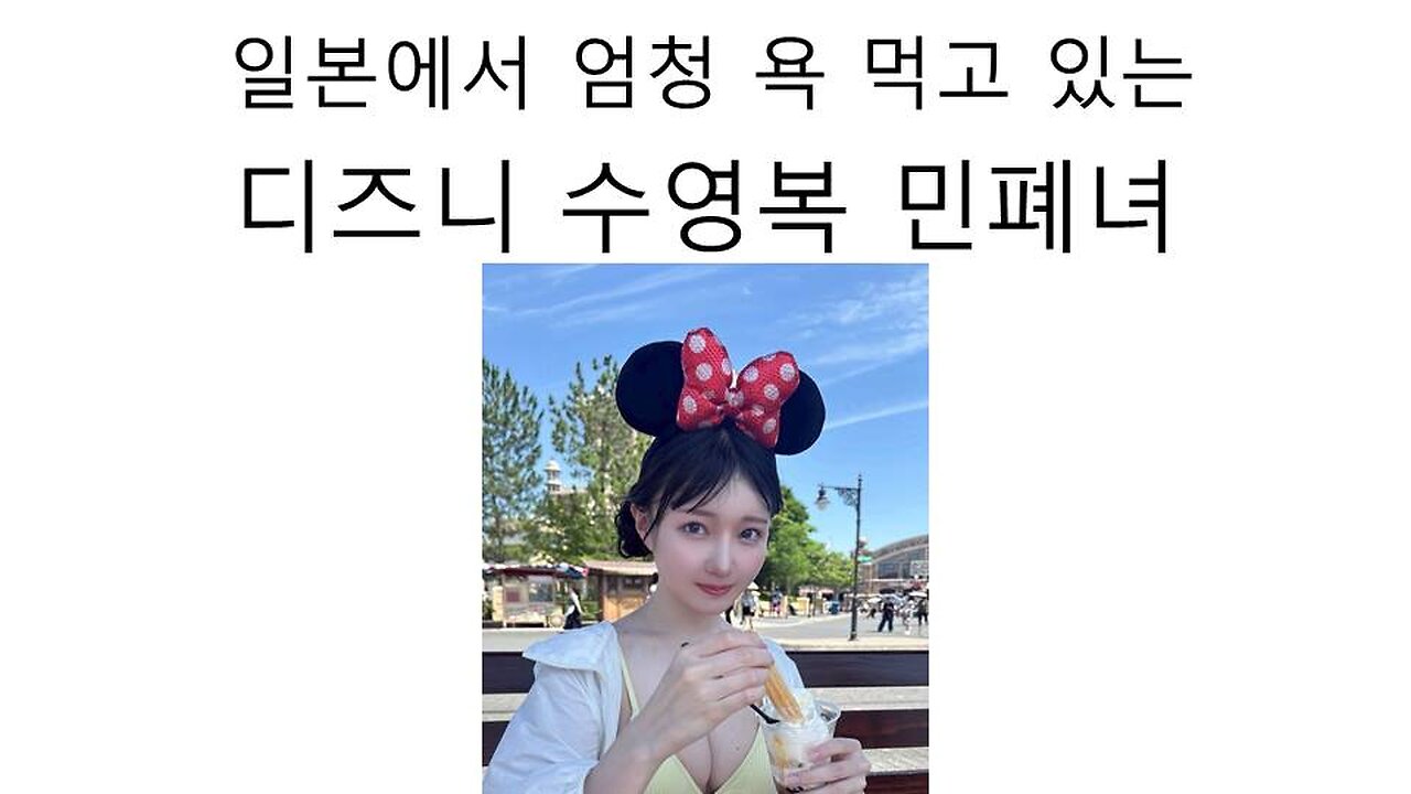 일본에서 엄청 욕을 먹고 있는 디즈니 수영복 민폐녀 논란