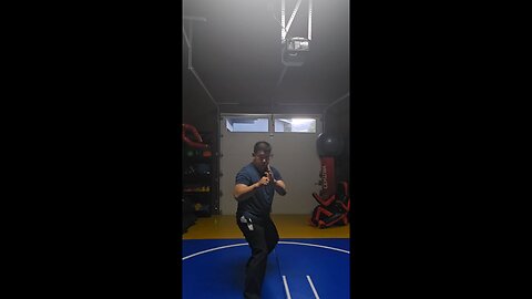 WTD Hand Combination 4, Kick Set (Rank 3)