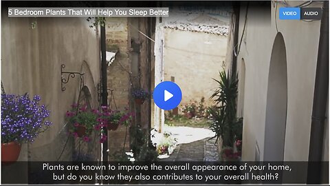 5 Bedroom Plants That Will Help You Sleep Better