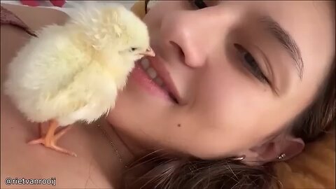 Funniest Animal video Part 1