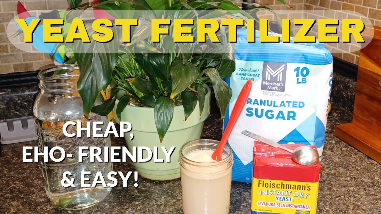 Yeast Fertilizer for Bigger, Healthier Plants: Organic, Easy, Cheap & Fast Acting!