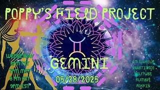 Poppy's Field Project 5/28/25 Gemini Season Part 2