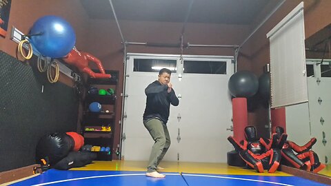 WTD Rear Hook Kick to Mantis Kick sequential