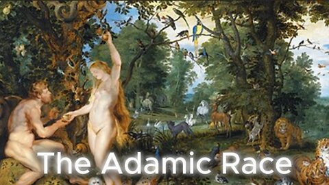 Who descends from Adam? What race was Jesus?