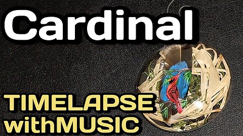 Cardinal Feather Painting Christmas Ornament {Timelapse with Music}