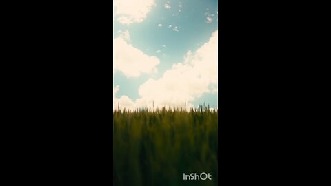 enjoy green grass