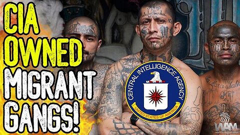 "Shedding Light on the CIA's Possible Role in Migrant Gangs - A Prelude to Civil Discord?"