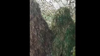 👓🔴 Ukraine Russia War | Ukrainian 108th Brigade Camouflage Tactics | RCF