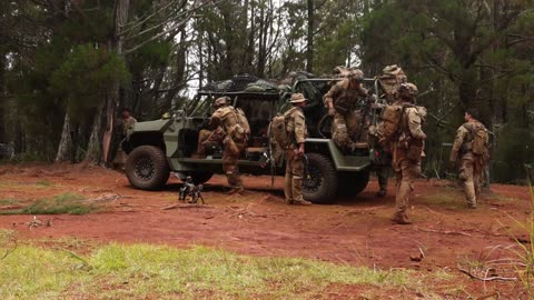 JPMRC 26-01: Drone Reconnaissance, Tactical Combat Casualty Care and Infantry Maneuvers