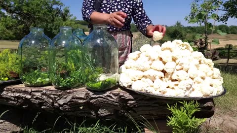 Harvesting Organic Cauliflower and Pickling With Dill, Outdoor Cooking