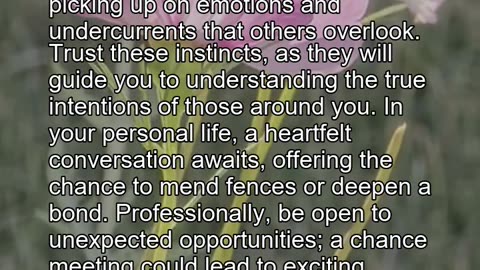 Daily Horoscope | Cancer & Taurus 🌟