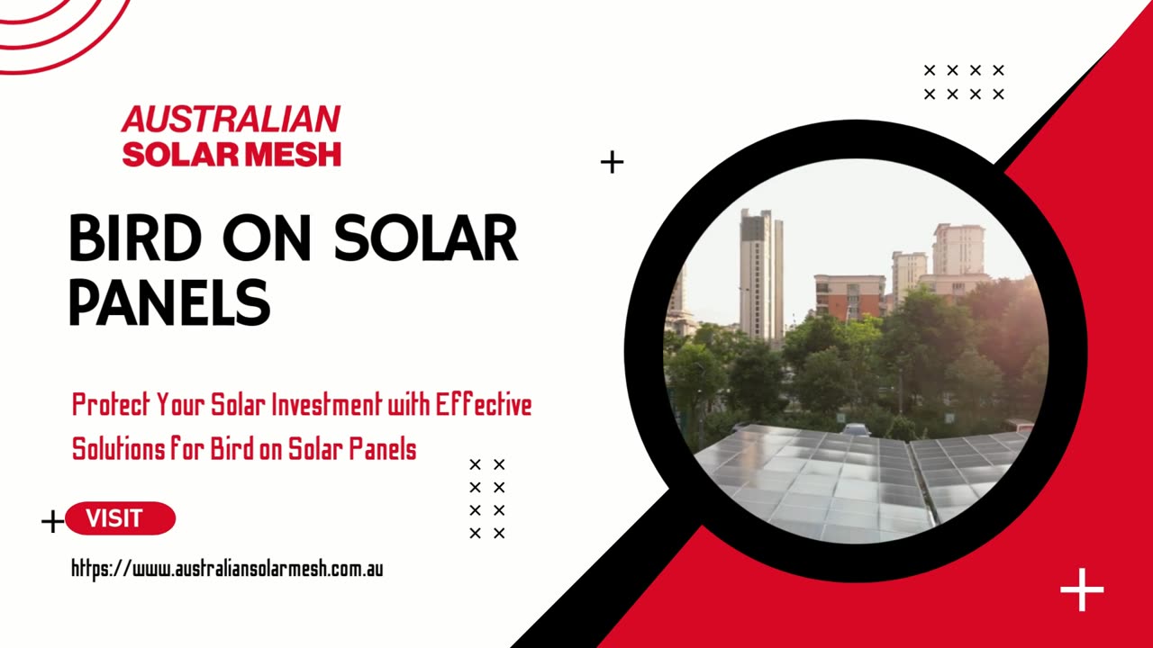 Prevent Damage and Energy Loss Caused by Bird on Solar Panels