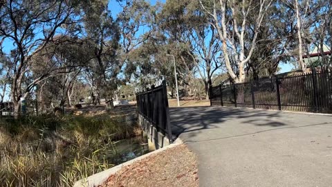 I love the sun in the winter...daily walk with Mila...