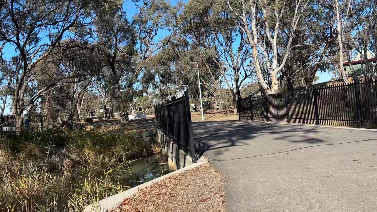 I love the sun in the winter...daily walk with Mila...