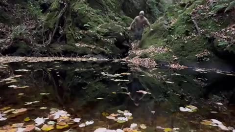 Wilderness Kitchen: Immersive Outdoor Cooking for Survival & Serenity