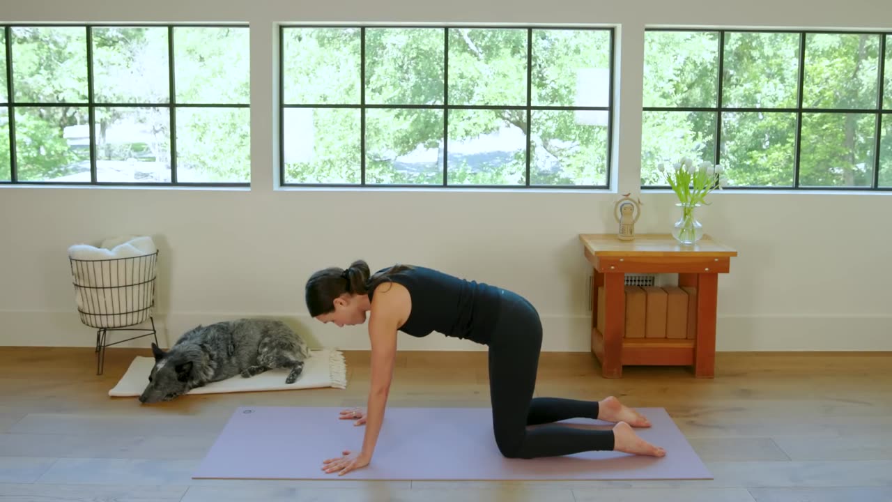 Flow Into Stillness | 30 Minute Yoga Practice