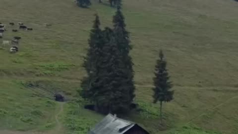 Life on an Eastern European village farm