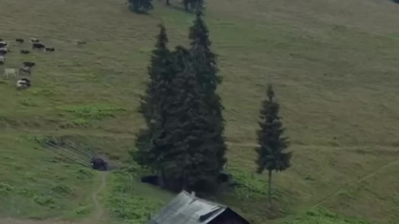 Life on an Eastern European village farm