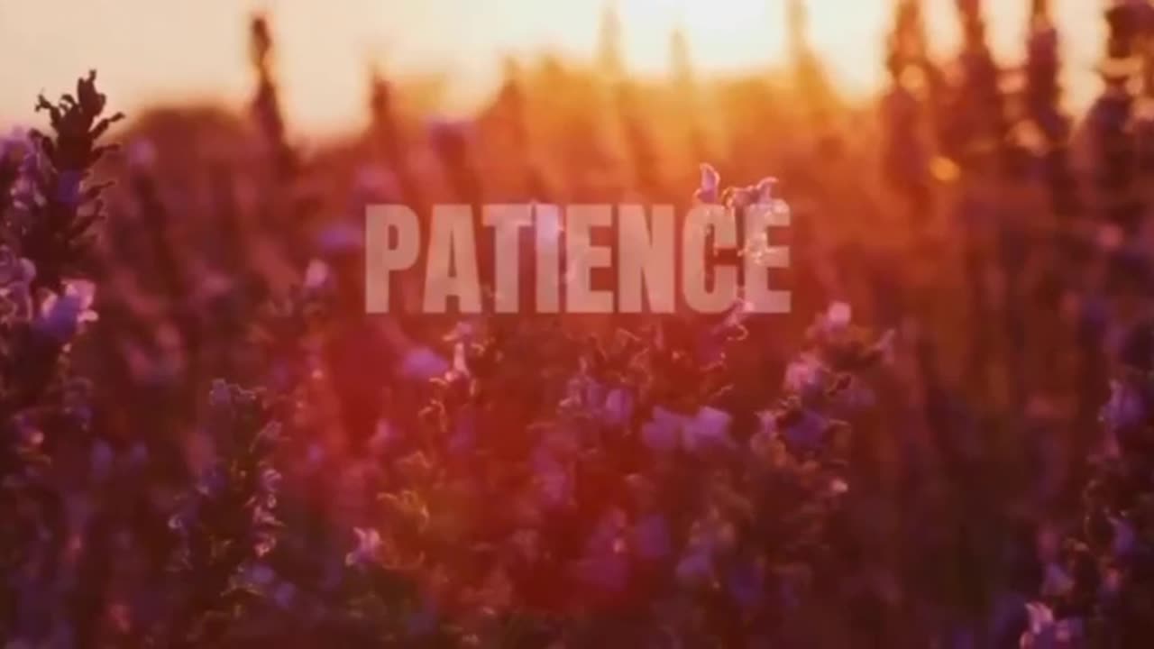 A Storm Is Comin by Liv Ash