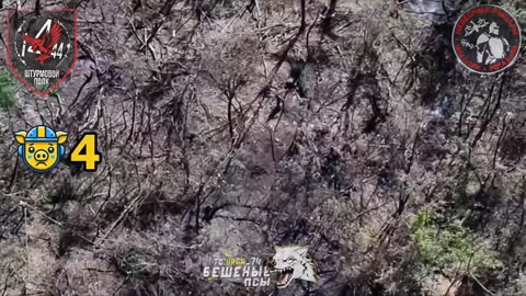 First Footage of Clashes in Dnipropetrovsk Oblast: Russians Took a Strongpoint