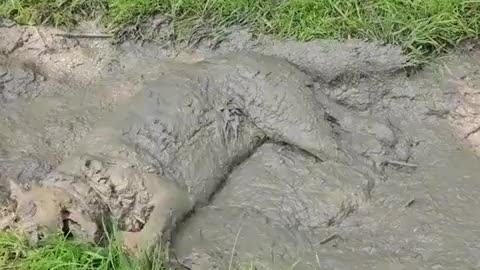 😂😱 Oh God.... | FunFM