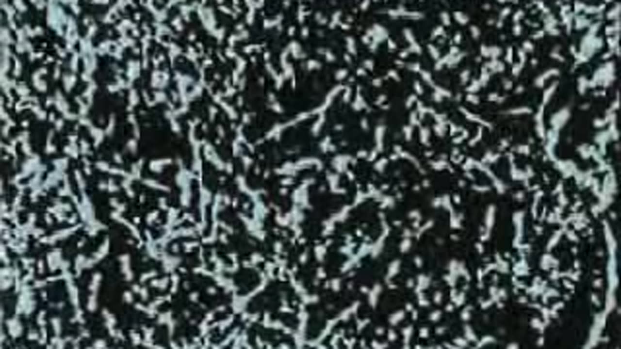 Commercial - Gleem Toothpaste 1965