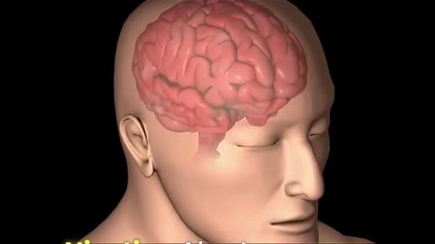 Is Nicotine the Key to treating Brain Injuries?