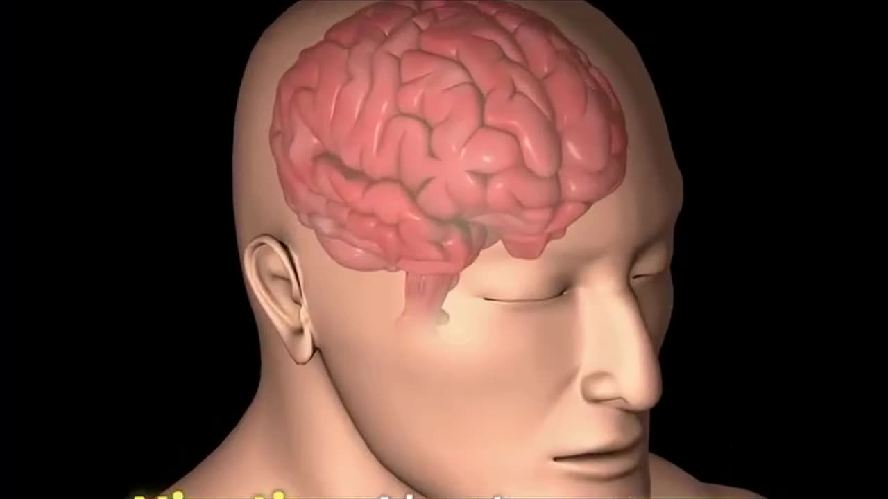 Is Nicotine the Key to treating Brain Injuries?