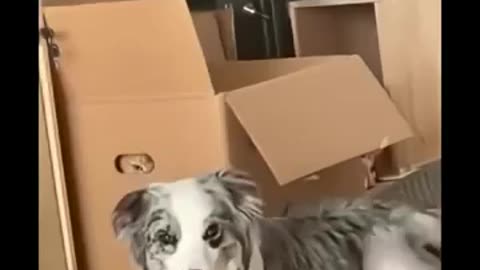Hidden