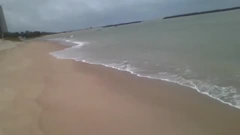 The white heron takes advantage of the beach to refresh its feet, that's life! [Nature & Animals]