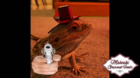The Lizards of Mahoski Gourmet Foods