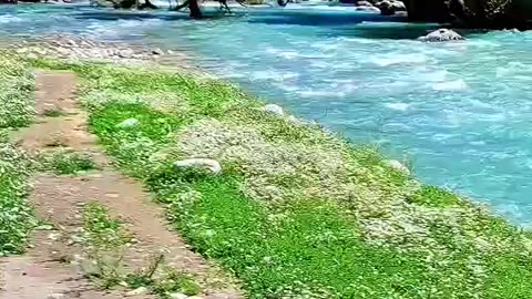 Pashala Spring