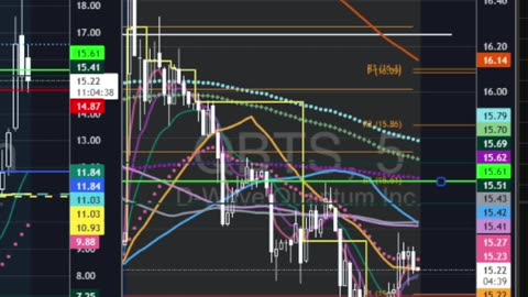 Best Trades Right Now 💹 | Bitcoin, $SPY, $COIN, $TSLA Market Update 3
