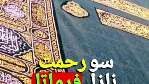 aisa kon sa karobar hy aap k pass#muhammad #viral #trand #viralpost #hajiabdulhabibattari