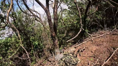 🎯🔥 Ukraine Russia War | Azov Scouts Launch Surprise Ambush Near Donetsk | RCF