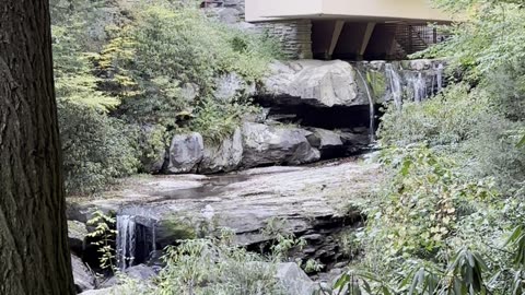 Fallingwater 1