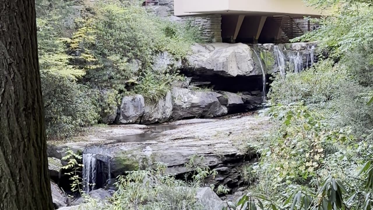 Fallingwater 1