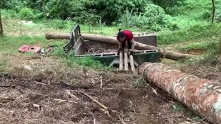 Girl transporting wood by tractor from forest offroad