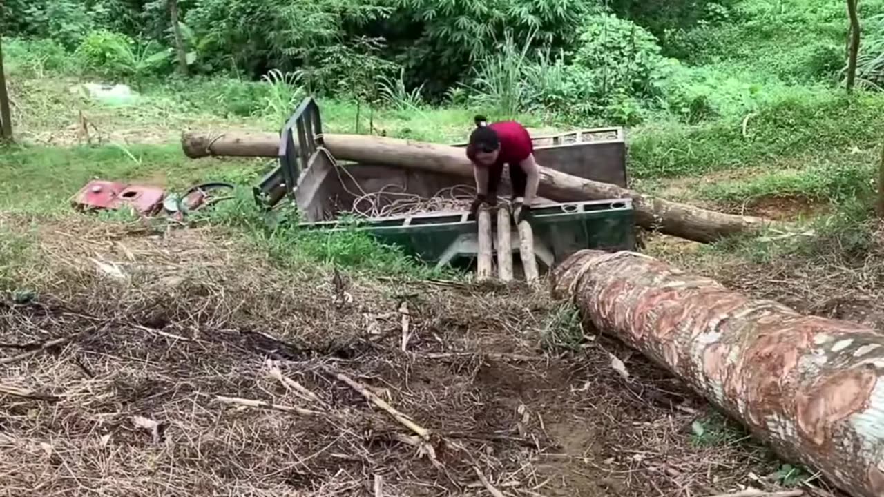 Girl transporting wood by tractor from forest offroad